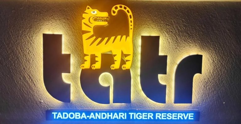 Tadoba: Right Zone And Right Resort