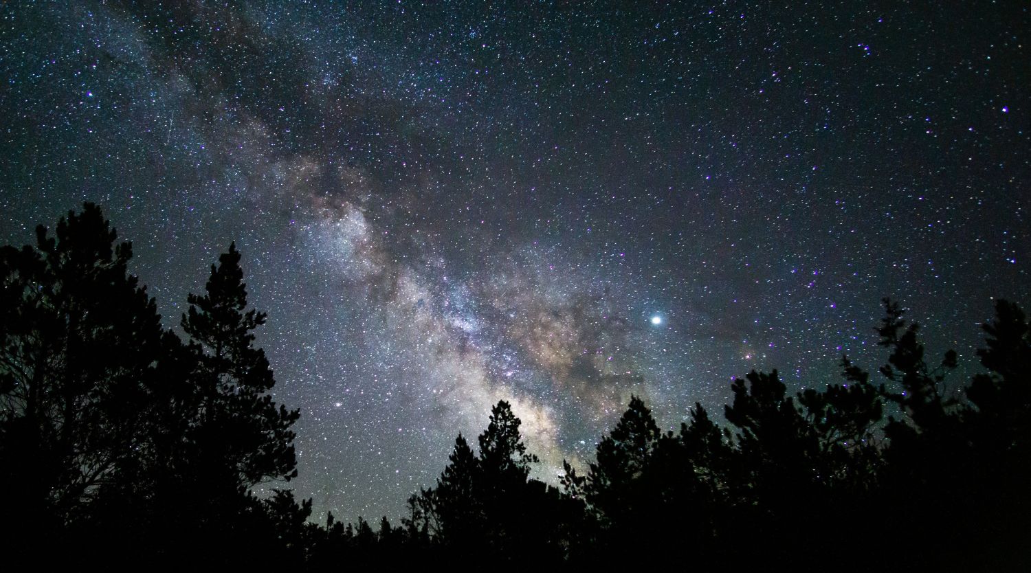 Pench Stargazing Safari